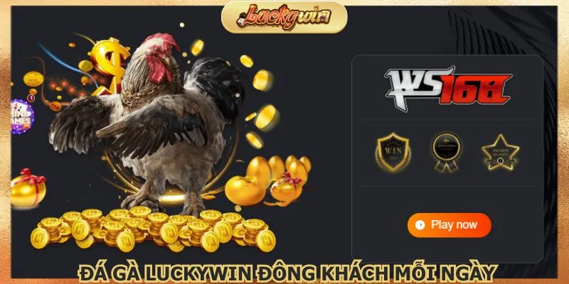 Đá Gà Luckywin | Trực Tiếp Từ Trường Đấu Thomo 1 Khu vực chơi đá gà Luckywin đông khách mỗi ngày